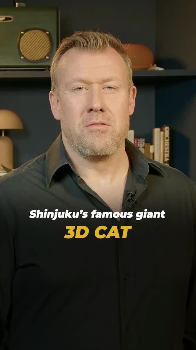 The Gimmick of 3D Screens in Tokyo's Urban Landscape